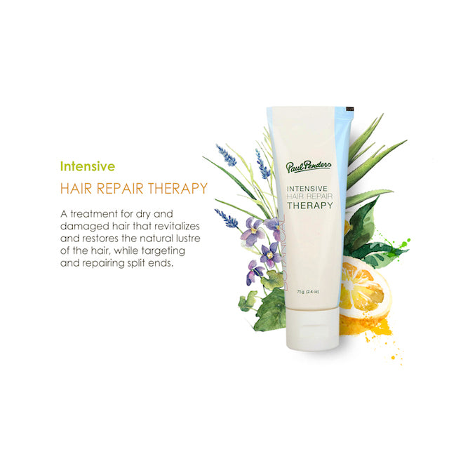 Paul Penders Intensive Hair Repair Therapy For Damaged Hair Treatment 75g