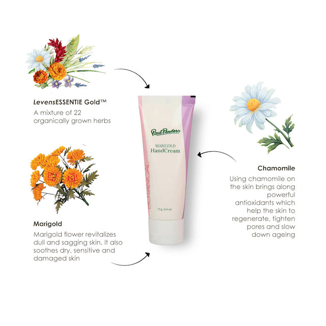 Paul Penders Marigold Moisturizing Handcream With Non-Greasy, Non-Sticky Formula for Soft Hands 75g