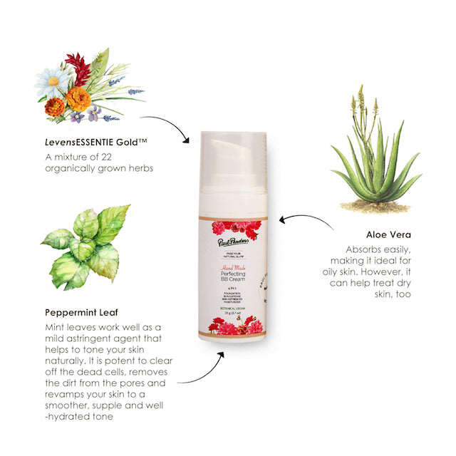 Paul Penders Hand Made Perfecting BB Cream | Free Your Natural Glow 4 IN 1 Vegan Special Care BB Cream - Medium 20g