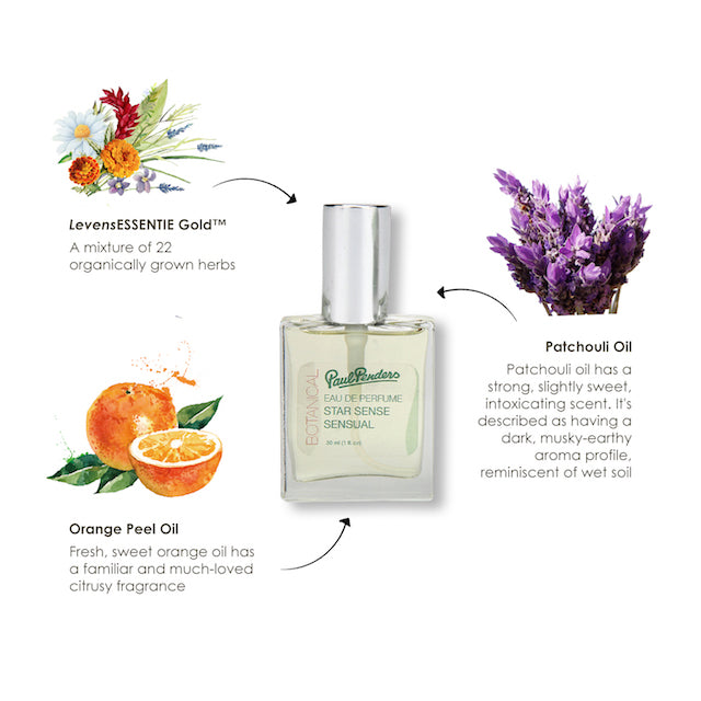Paul Penders Eau De Perfume Star Sense (Sensual Smooth Exquisite) | Scented Symphony of Spicy & Warm Notes 30ml