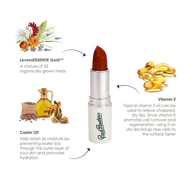 Paul Penders Hand Made Natural Cream Lipstick For A Natural Look | Moisture Rich Colour - Cinnabar 4g