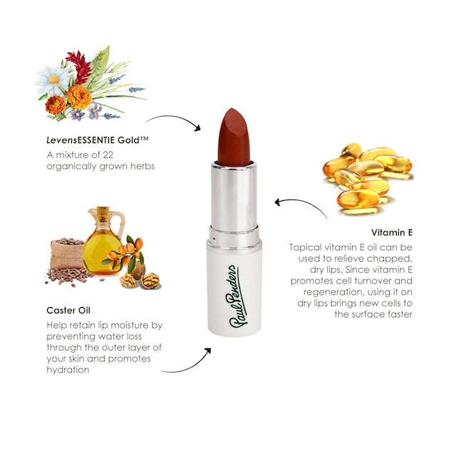 Paul Penders Hand Made Natural Cream Lipstick For A Natural Look | Moisture Rich Colour - Mulberry 4g