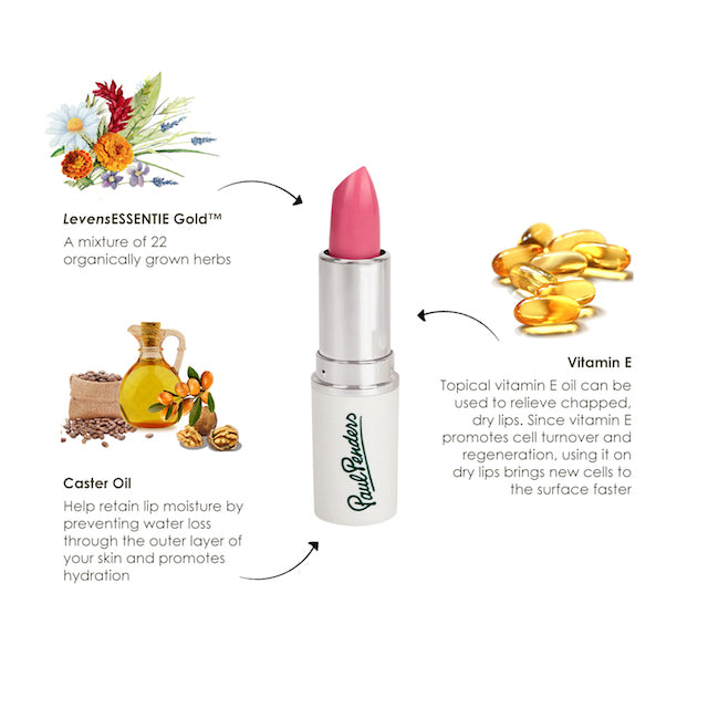 Paul Penders Hand Made Natural Cream Lipstick For A Natural Look | Moisture Rich Colour - Sonal 4g