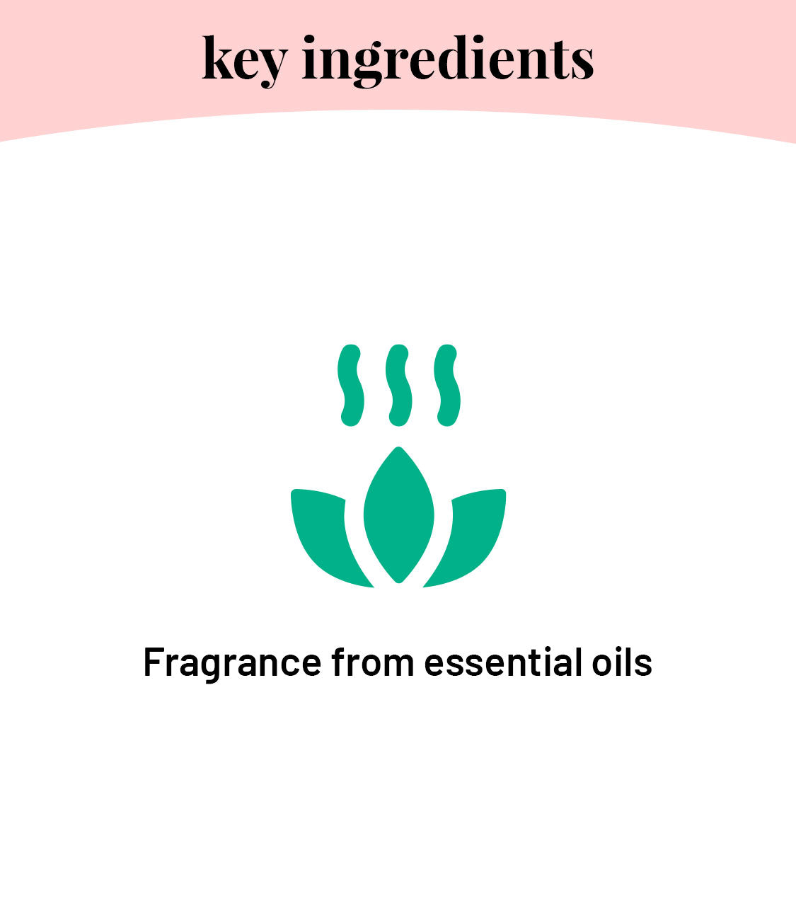 Born Good Plant-based Air Freshener (Indian Summer) Concentrate Kit (Makes 1 L)