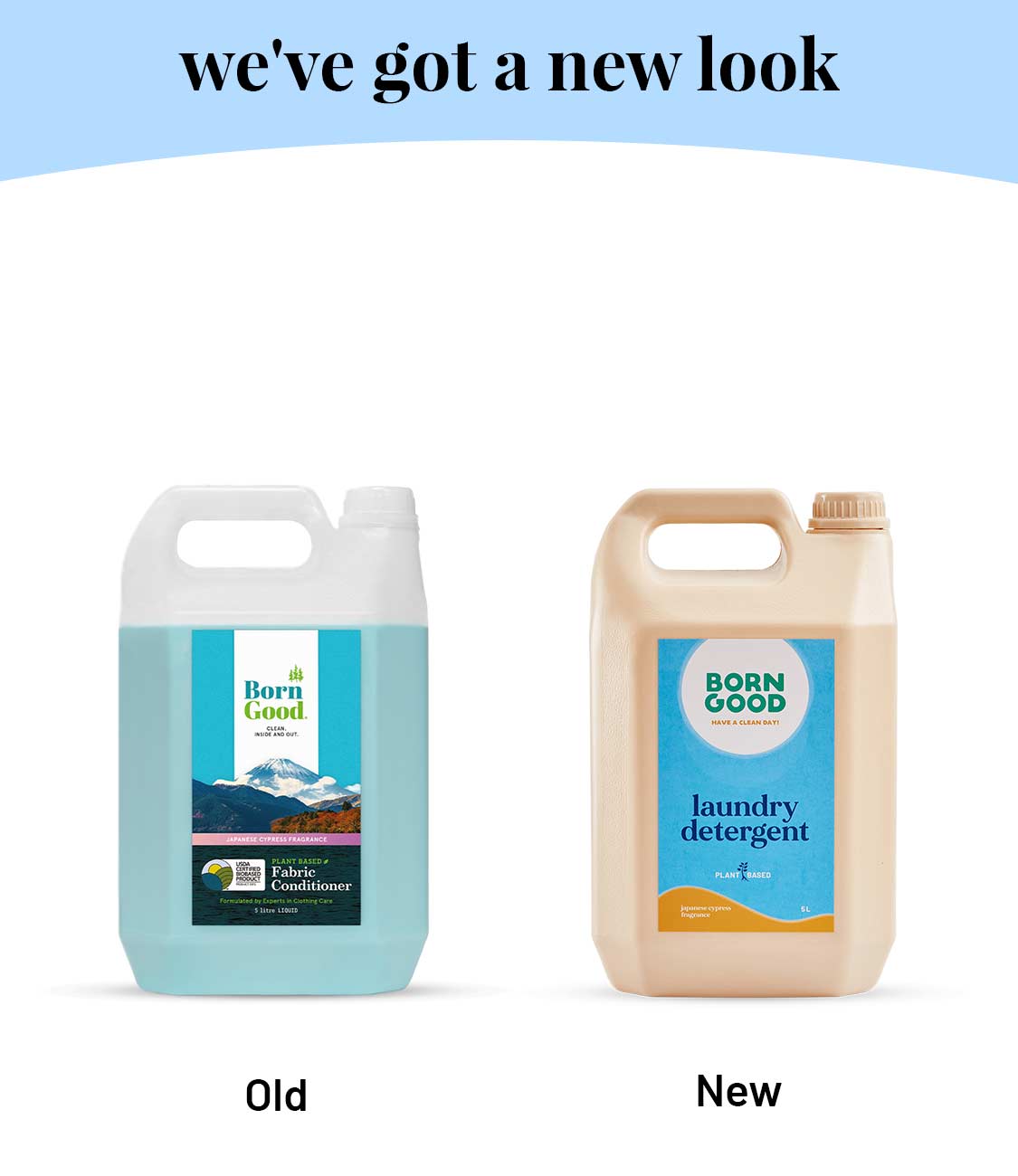 Born Good Plant-based Fragrance Laundry Detergent (Japanese Cypress) - 5 L Can