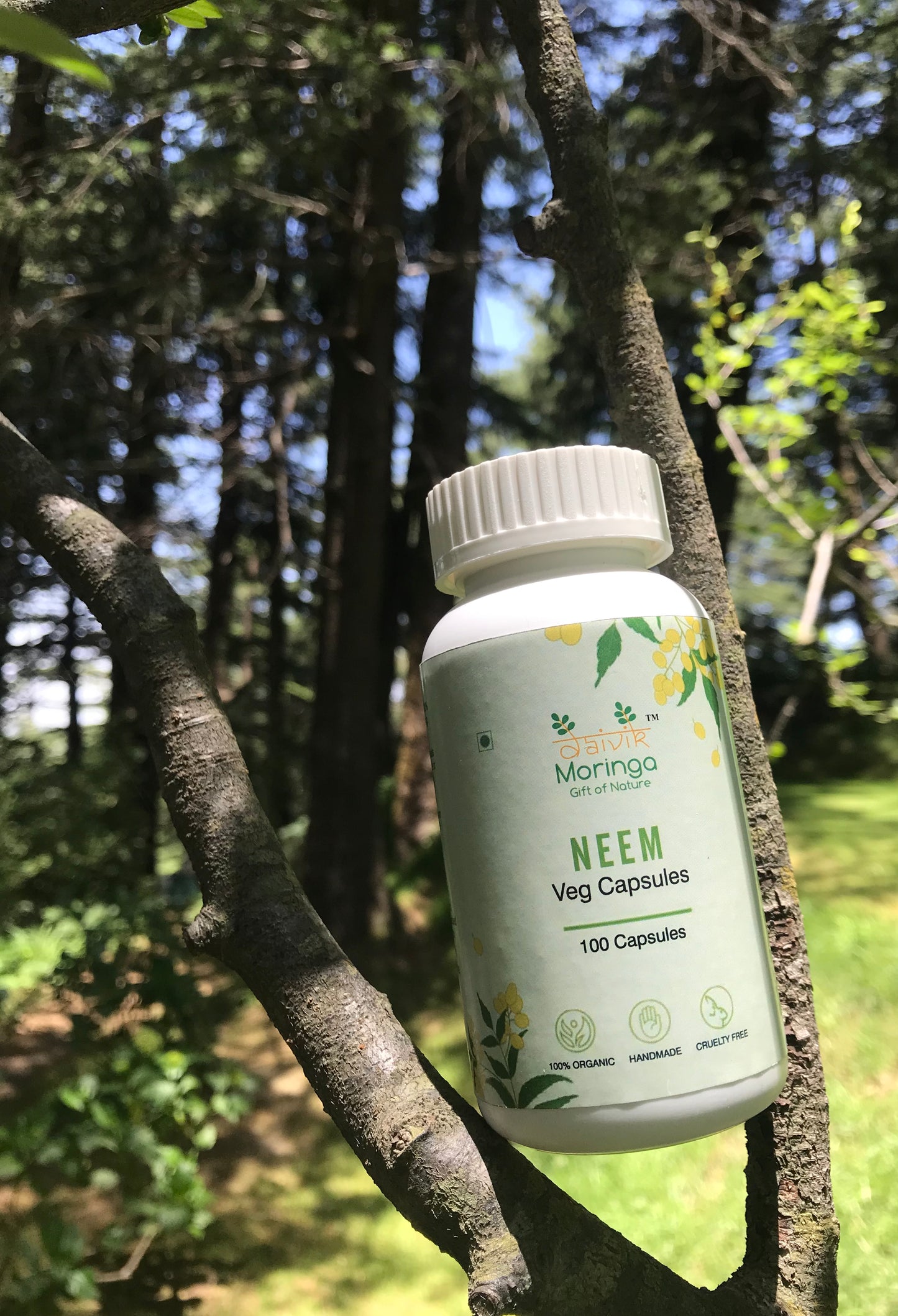 Daivik Moringa Neem Veg Capsules | 100% Natural | Detox, Skin Care, Anti Inflammatory | 100 Caps Each