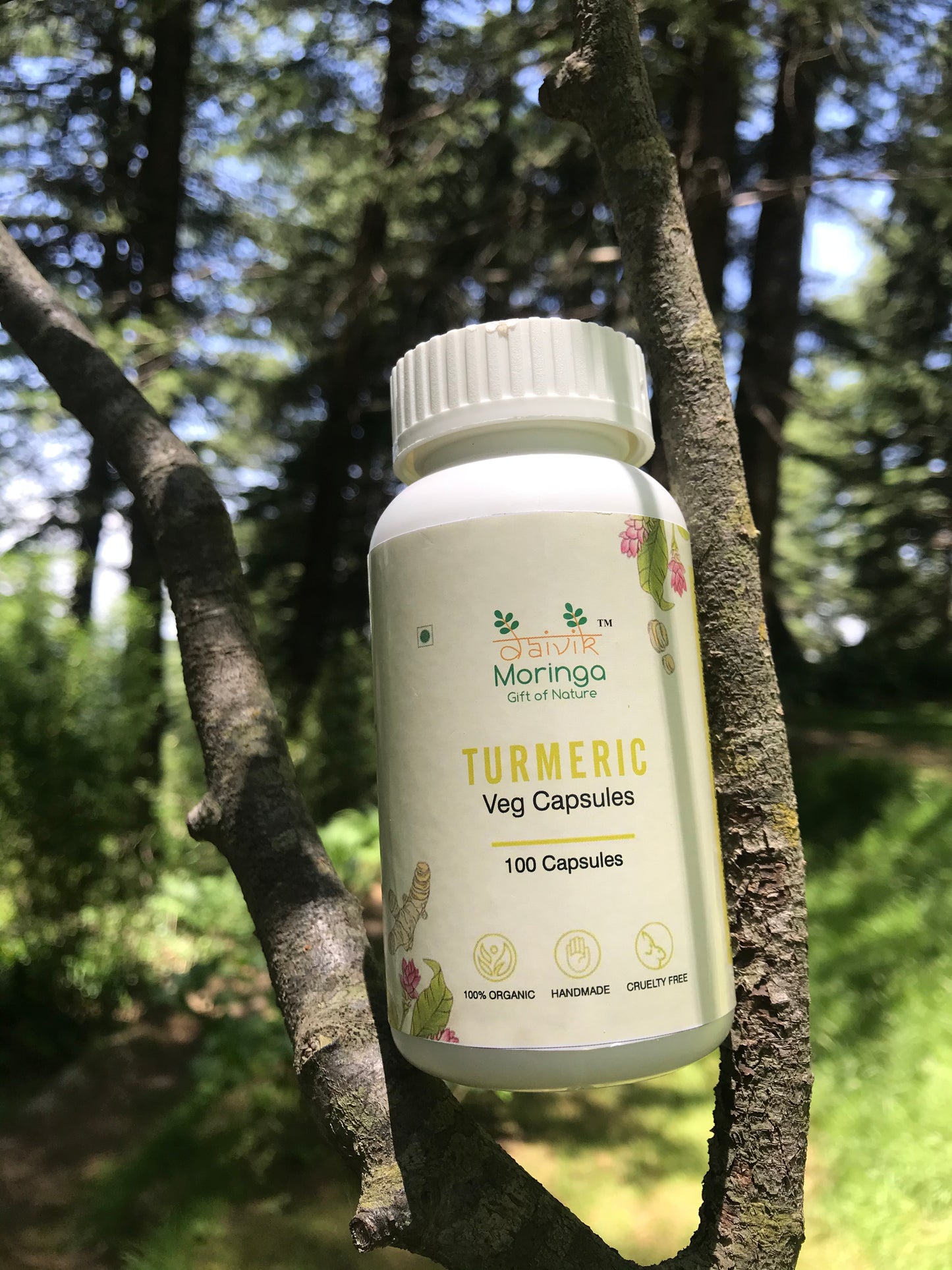 Daivik Moringa Turmeric Veg Capsules | 100% Natural | Immunity Booster, AntiInflammatory, Antioxidant | 100 Caps Each