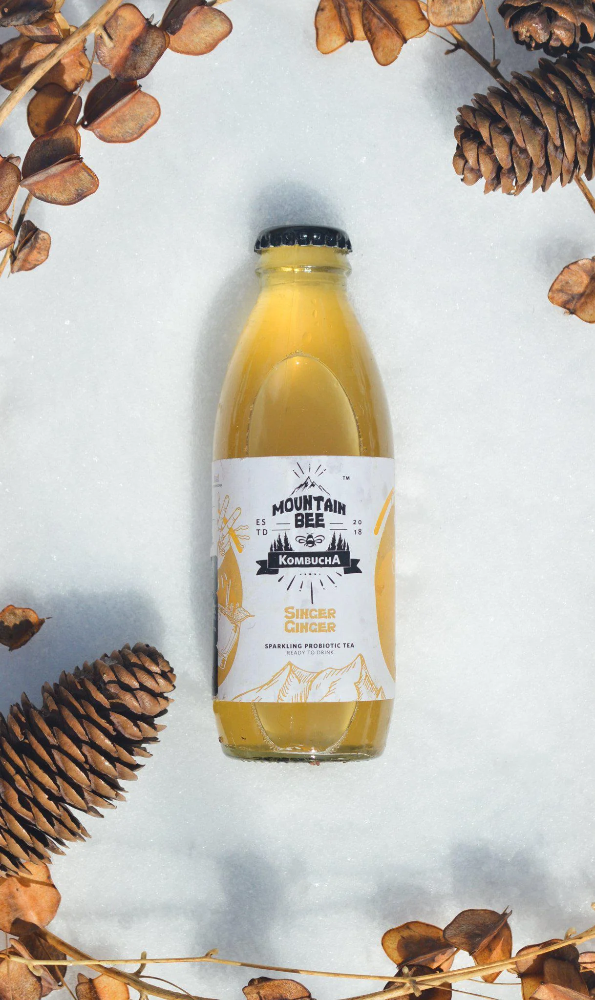 Mountain Bee Kombucha - Singer Ginger (Pack of 6)