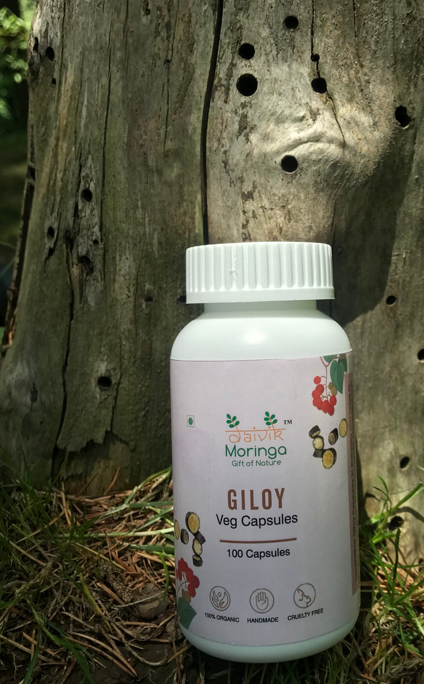 Daivik Moringa Giloy Veg Capsules | 100% Natural | Immunity Booster | 100 Caps Each